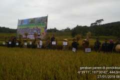 Gerakan Panen Padi